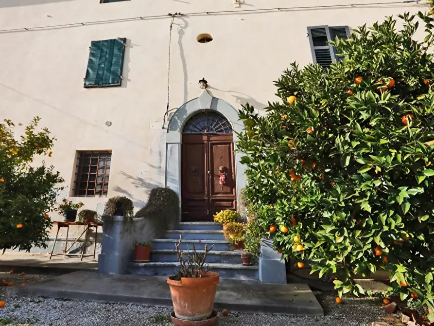 Immagine 5 di Casa colonica in vendita  a Collesalvetti