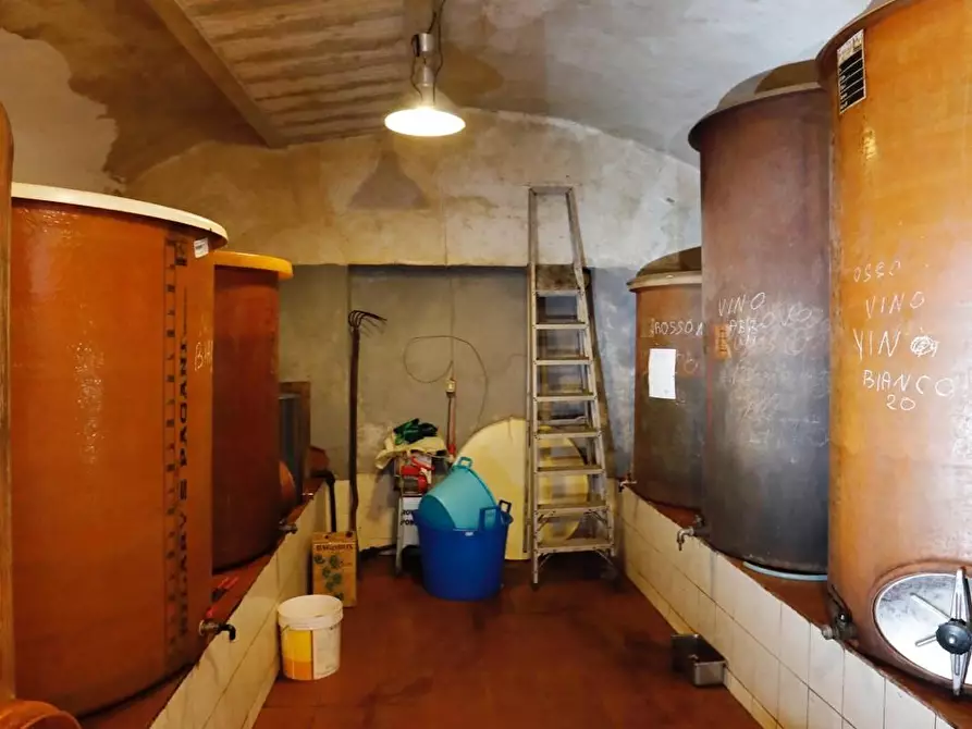 Immagine 46 di Casa colonica in vendita  a Collesalvetti