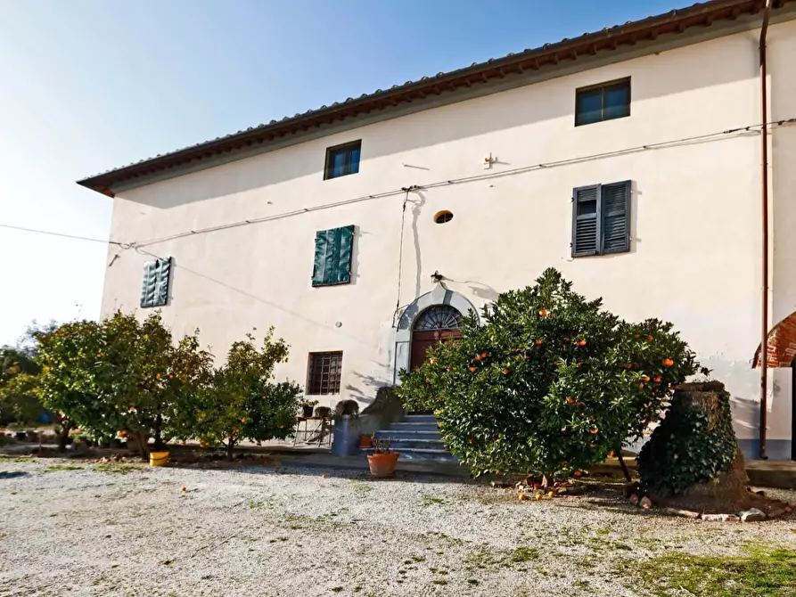 Immagine 2 di Casa colonica in vendita  a Collesalvetti