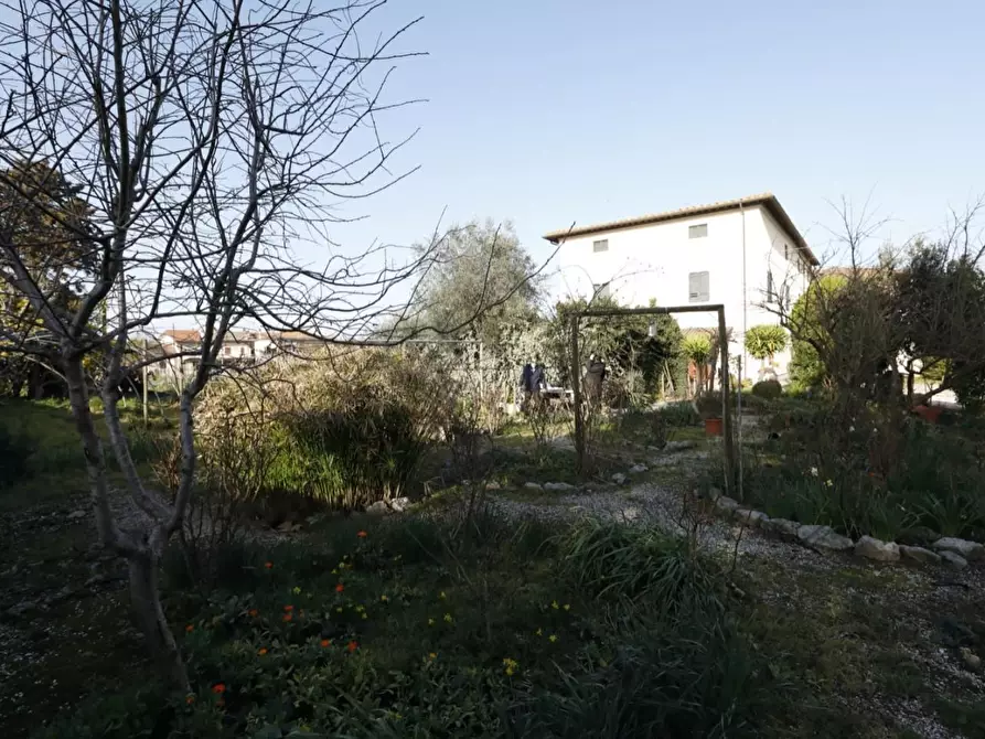 Immagine 4 di Casa colonica in vendita  a Collesalvetti