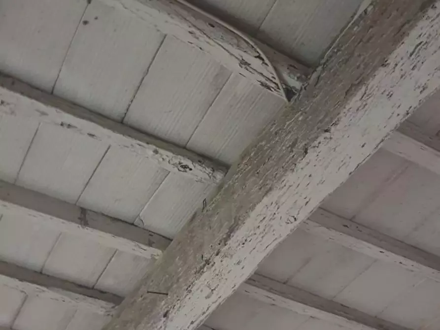 Immagine 3 di Deposito in vendita  a Buti