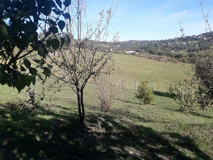 Immagine 4 di Rustico / casale in vendita  a Manciano