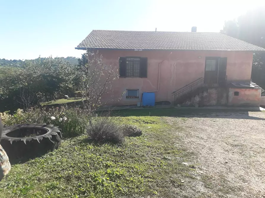 Immagine 8 di Rustico / casale in vendita  a Manciano