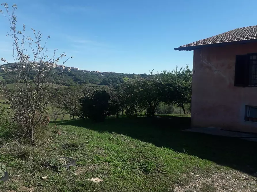 Immagine 9 di Rustico / casale in vendita  a Manciano