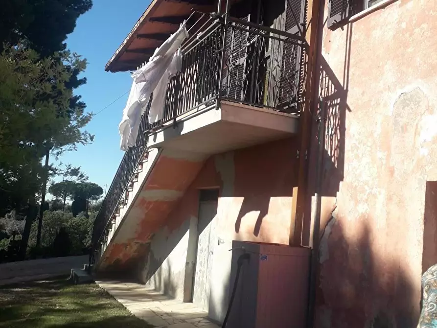 Immagine 5 di Rustico / casale in vendita  a Manciano