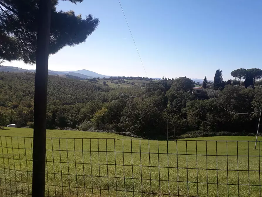 Immagine 6 di Rustico / casale in vendita  a Manciano