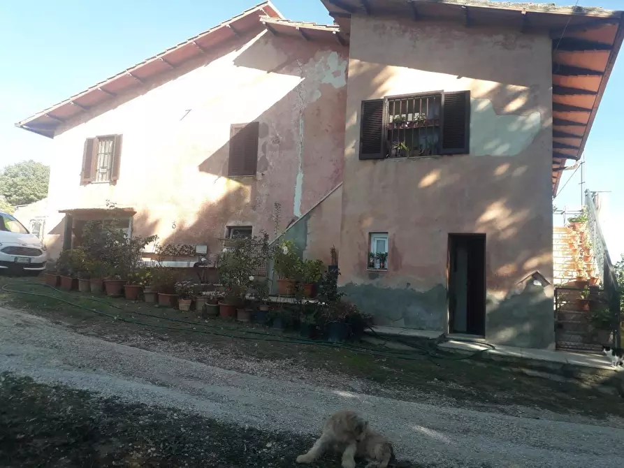 Immagine 2 di Rustico / casale in vendita  a Manciano