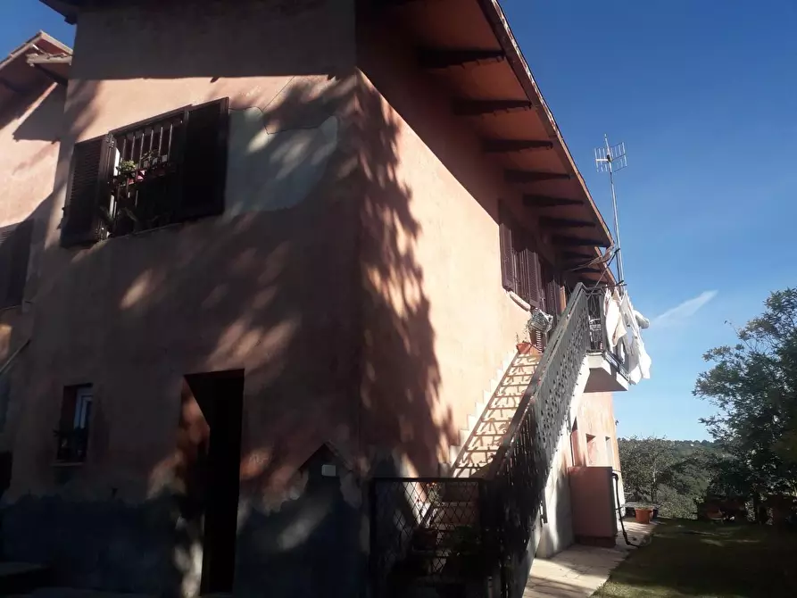 Immagine 7 di Rustico / casale in vendita  a Manciano