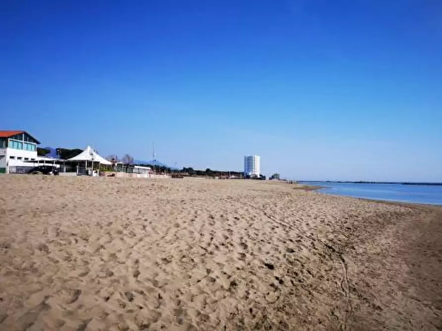 Immagine 14 di Casa indipendente in vendita  a Massa