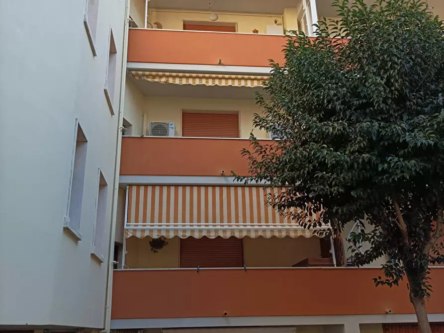 Immagine 29 di Appartamento in affitto  a Rosignano Marittimo