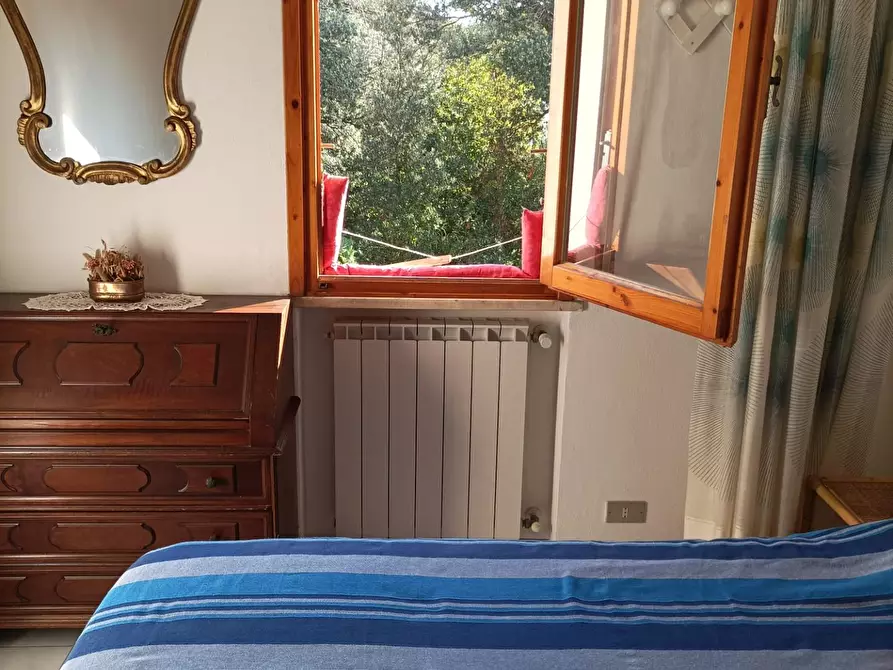 Immagine 18 di Appartamento in affitto  a Rosignano Marittimo