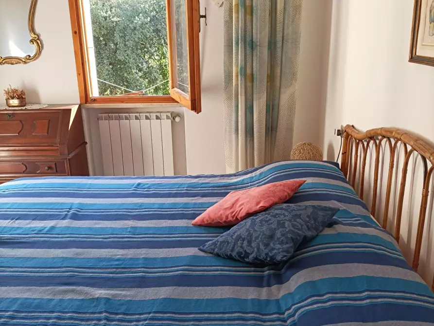 Immagine 22 di Appartamento in affitto  a Rosignano Marittimo