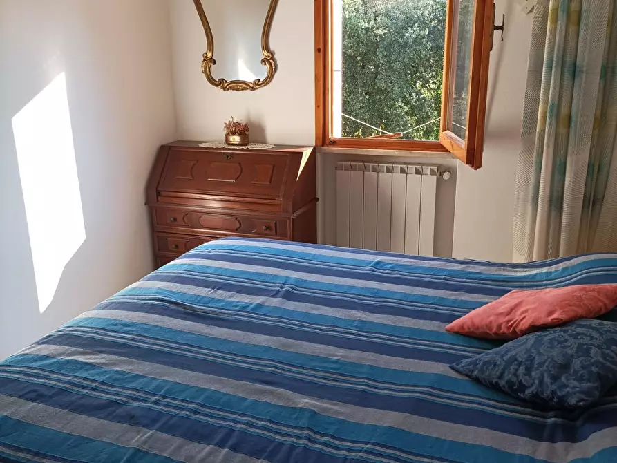 Immagine 21 di Appartamento in affitto  a Rosignano Marittimo