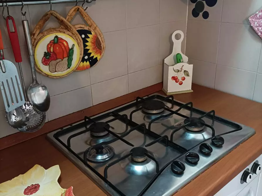 Immagine 10 di Appartamento in affitto  a Rosignano Marittimo