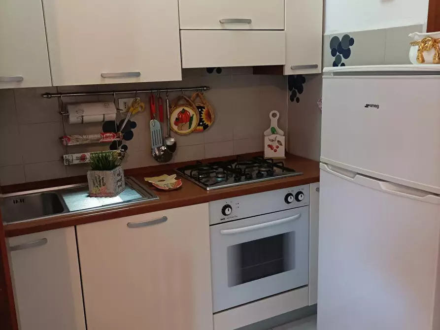 Immagine 14 di Appartamento in affitto  a Rosignano Marittimo