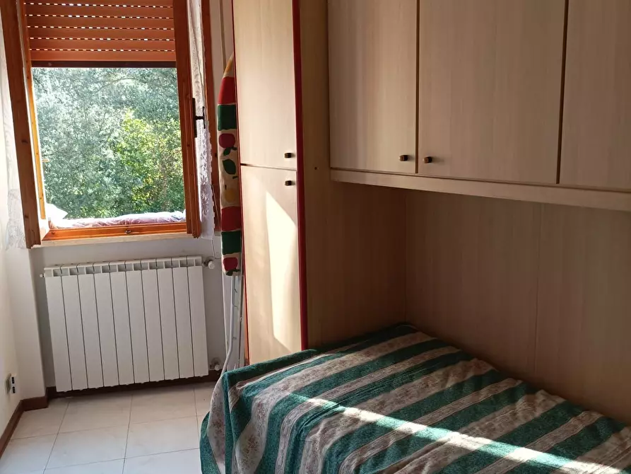 Immagine 16 di Appartamento in affitto  a Rosignano Marittimo