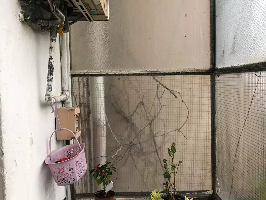 Immagine 2 di Appartamento in affitto  a Pontedera