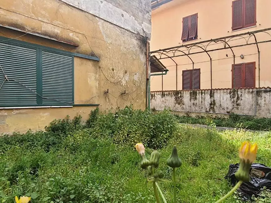 Immagine 17 di Terratetto in vendita  a Ponsacco