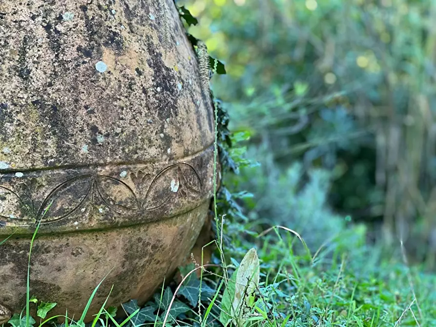 Immagine 7 di Porzione di casa in vendita  a Montespertoli