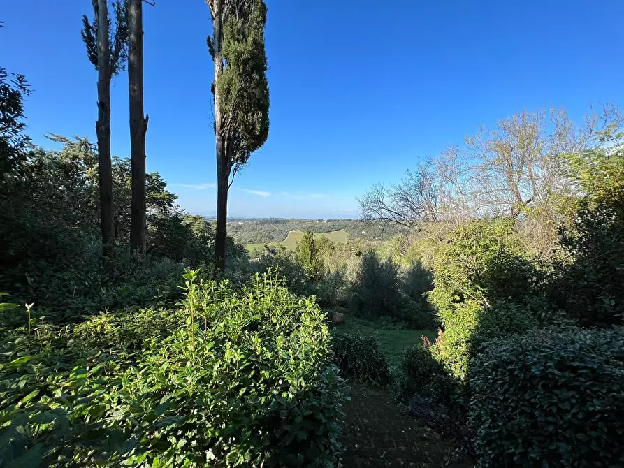 Immagine 6 di Porzione di casa in vendita  a Montespertoli