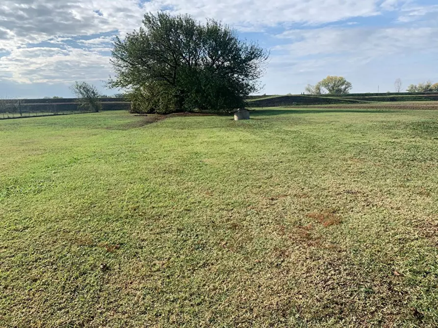 Immagine 3 di Casa indipendente in vendita  a San Giuliano Terme