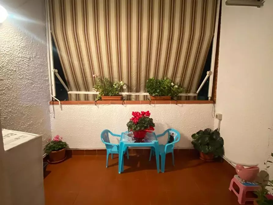 Immagine 6 di Appartamento in vendita  a Grosseto