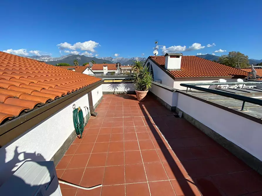 Immagine 14 di Appartamento in affitto  a Massa