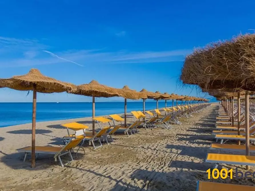 Immagine 2 di Appartamento in vendita  a Pisa