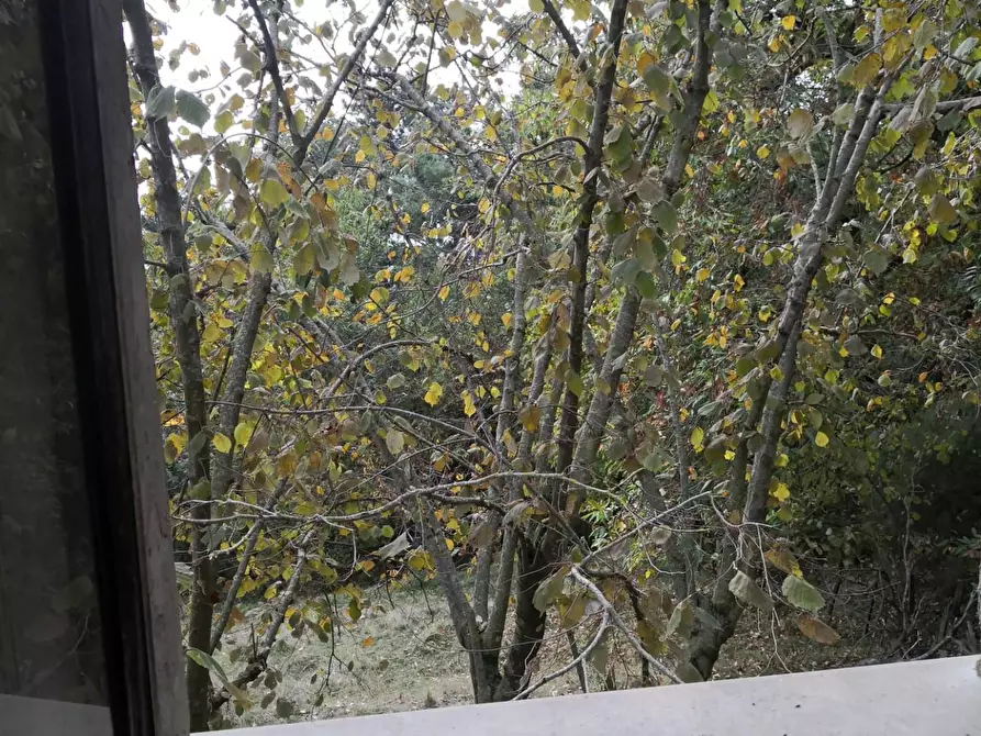 Immagine 12 di Casa semindipendente in vendita  a Montignoso