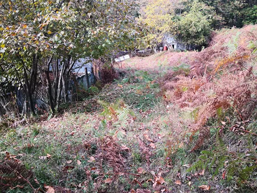 Immagine 4 di Casa semindipendente in vendita  a Montignoso