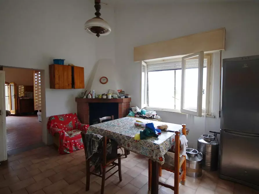 Immagine 5 di Casa colonica in vendita  a Vinci