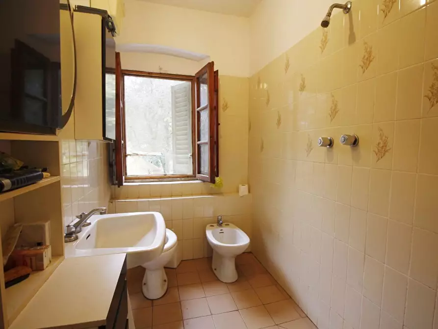 Immagine 8 di Casa colonica in vendita  a Vinci