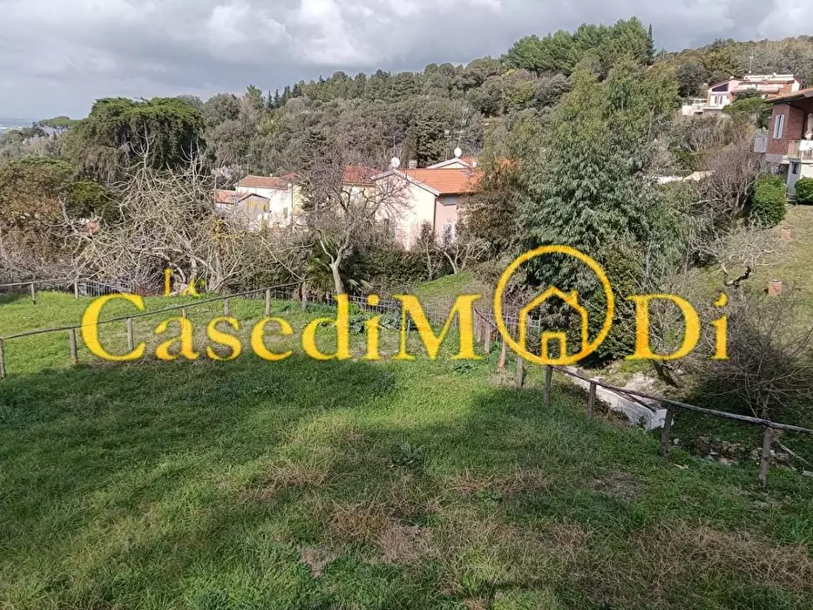 Immagine 4 di Terreno agricolo in vendita  a Livorno