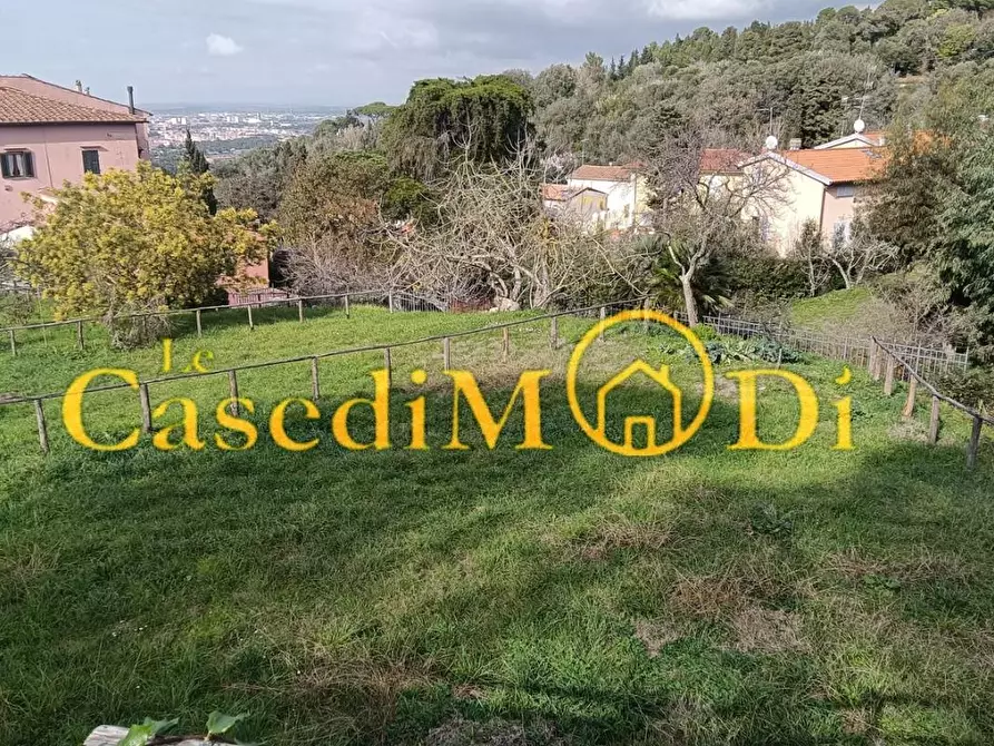 Immagine 5 di Terreno agricolo in vendita  a Livorno