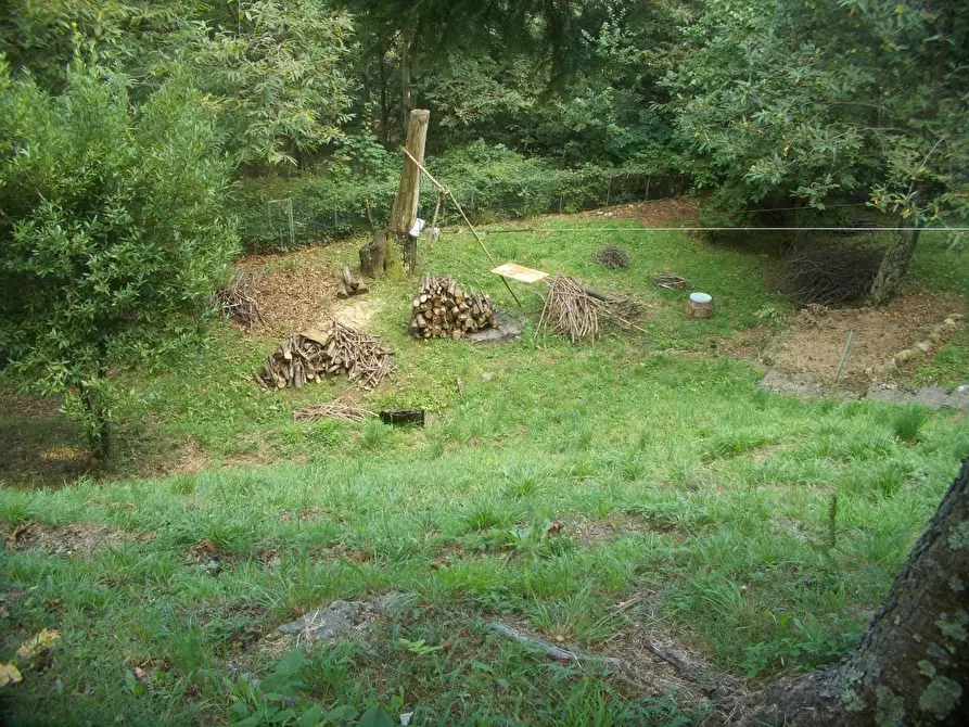 Immagine 21 di Rustico / casale in vendita  a Stazzema