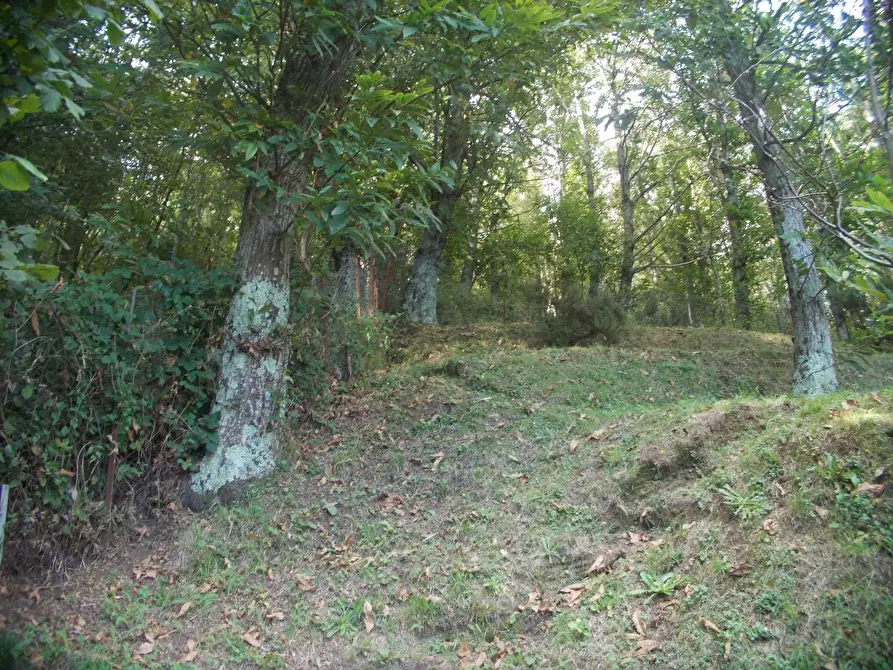 Immagine 9 di Rustico / casale in vendita  a Stazzema