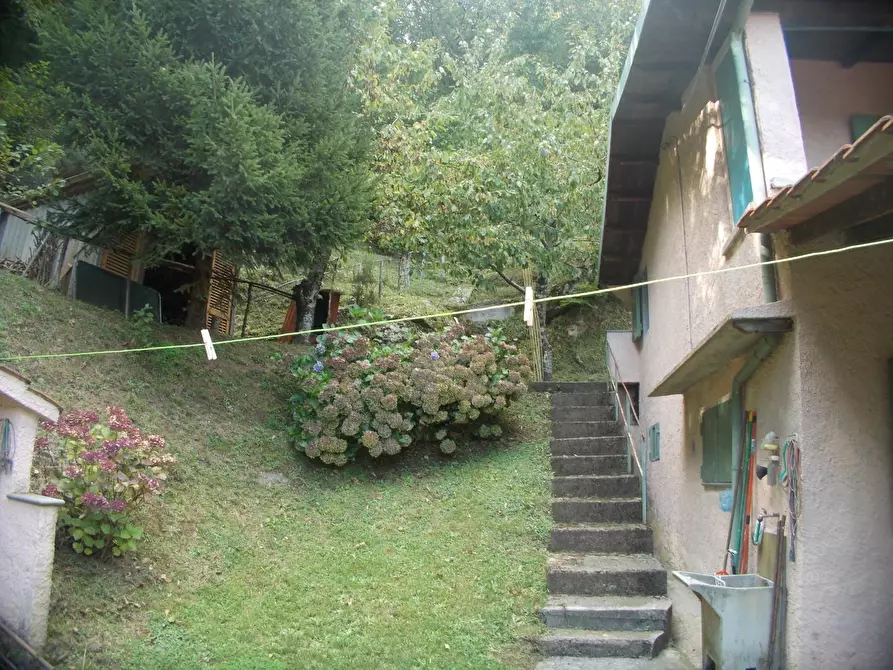 Immagine 6 di Rustico / casale in vendita  a Stazzema