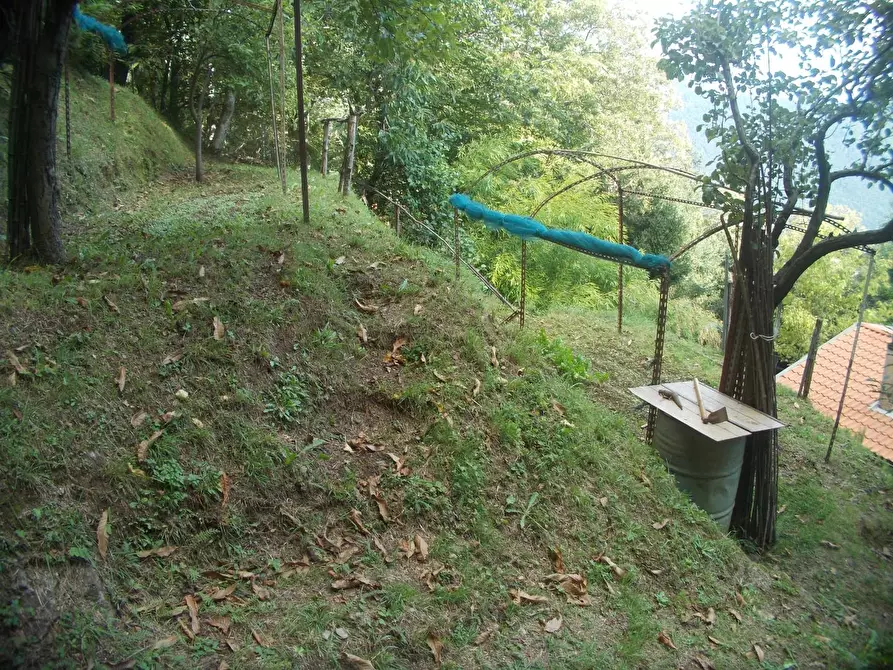 Immagine 8 di Rustico / casale in vendita  a Stazzema