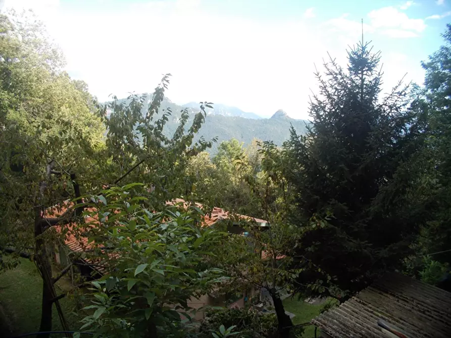 Immagine 10 di Rustico / casale in vendita  a Stazzema