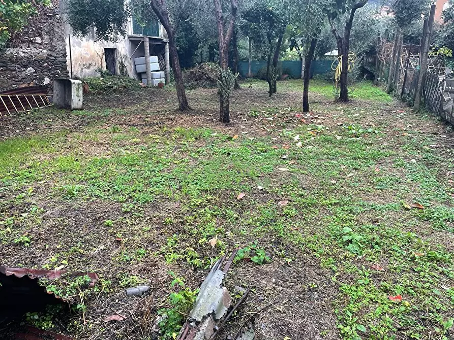 Immagine 21 di Appartamento in vendita  a Massa