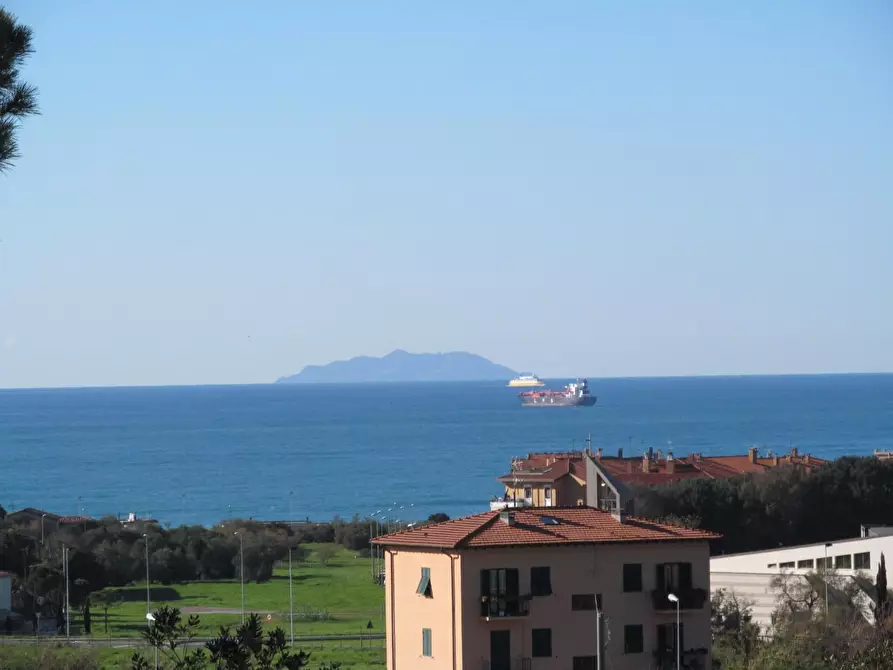 Immagine 2 di Terreno residenziale in vendita  a Livorno