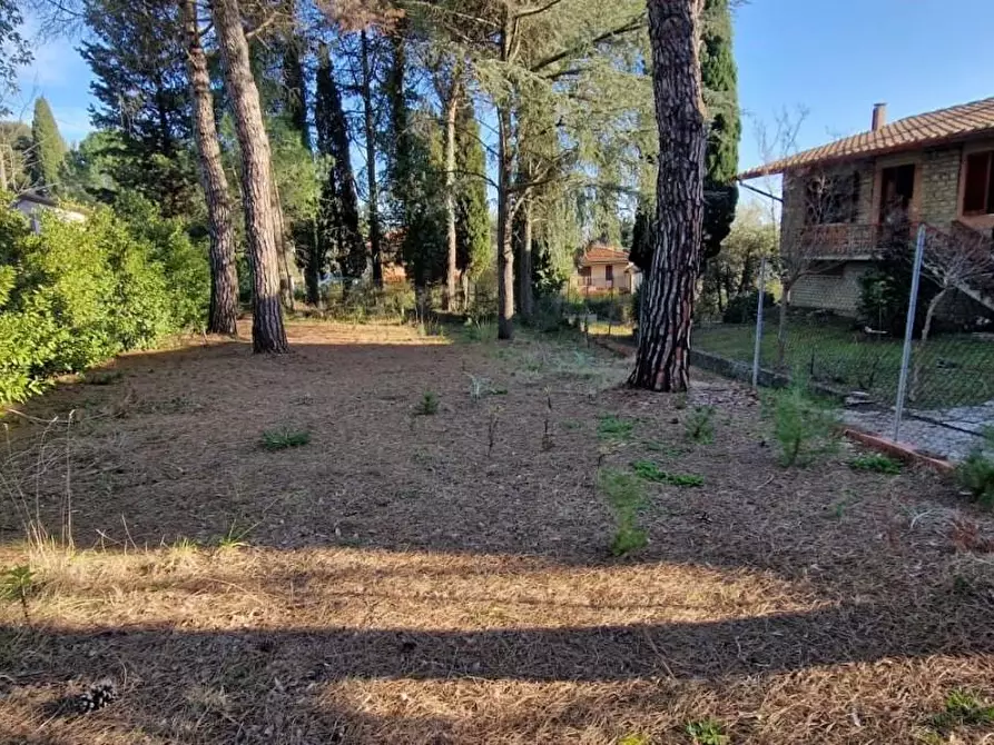 Immagine 1 di Casa bifamiliare in vendita  a Terricciola