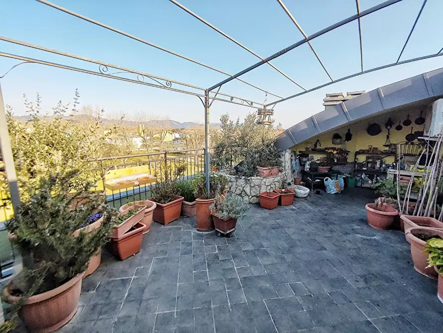 Immagine 14 di Mansarda in vendita  a Viareggio