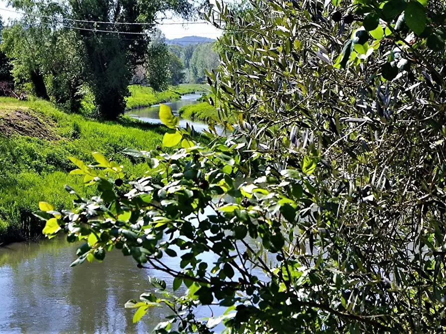 Immagine 24 di Palazzo in vendita  a Lucca