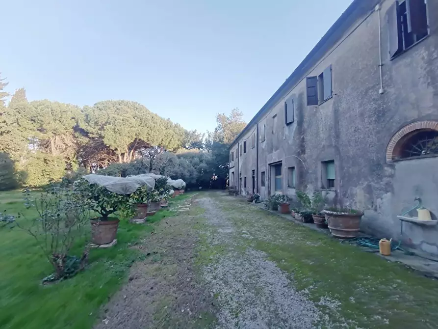 Immagine 28 di Casa colonica in vendita  a San Giuliano Terme