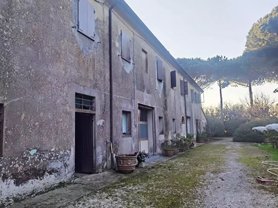 Immagine 27 di Casa colonica in vendita  a San Giuliano Terme