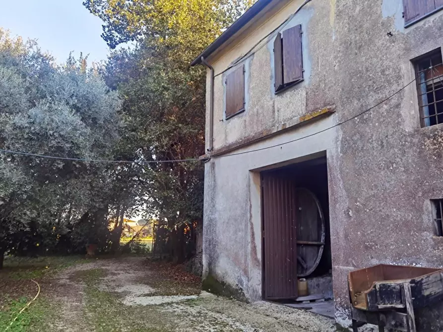 Immagine 29 di Casa colonica in vendita  a San Giuliano Terme