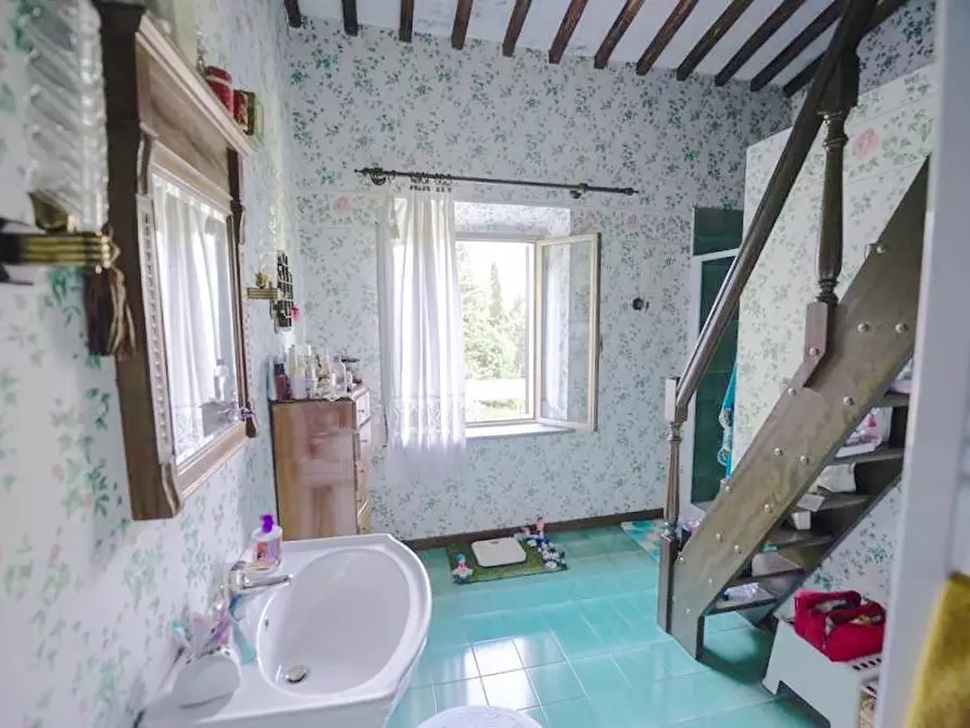 Immagine 20 di Casa colonica in vendita  a San Giuliano Terme