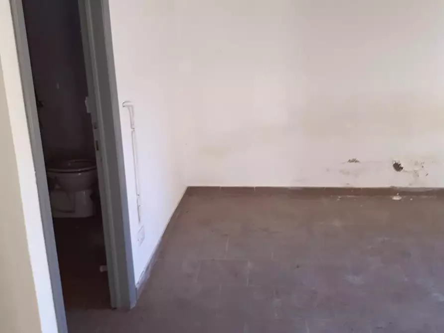 Immagine 3 di Laboratorio in affitto  a Santa Maria A Monte