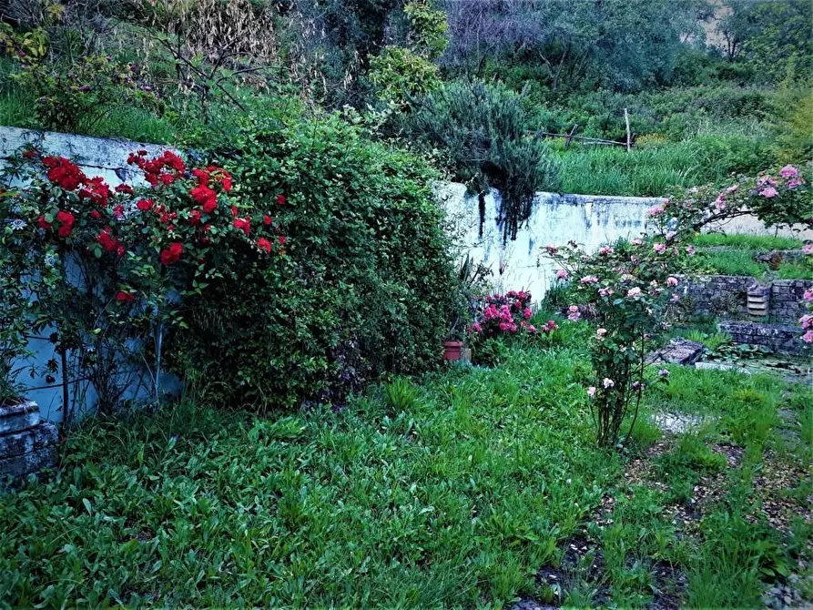 Immagine 12 di Villa in vendita  a Carrara